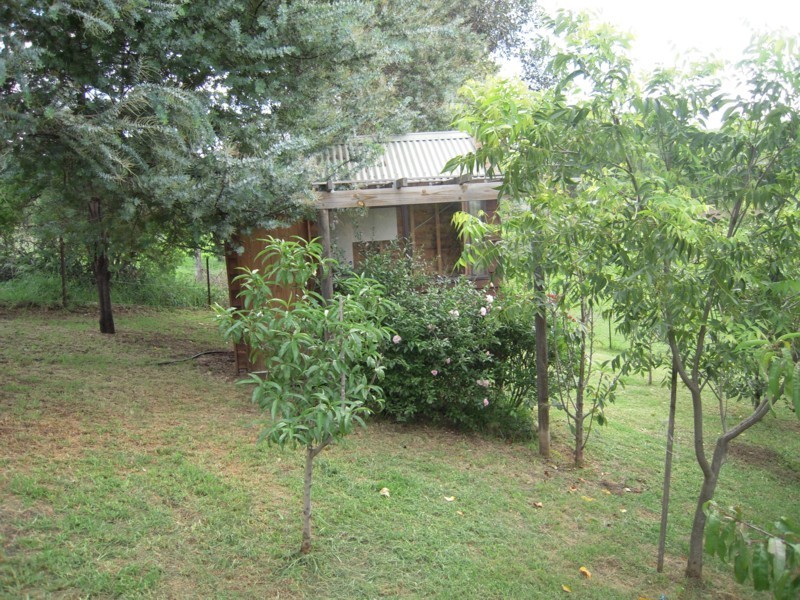 42 Panbula Street, Candelo NSW 2550