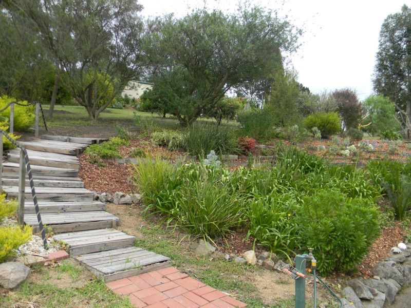 1444 Candelo-Wolumla Road, Candelo NSW 2550