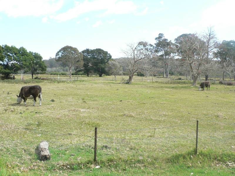 59 Racecourse Road, Bermagui NSW 2546