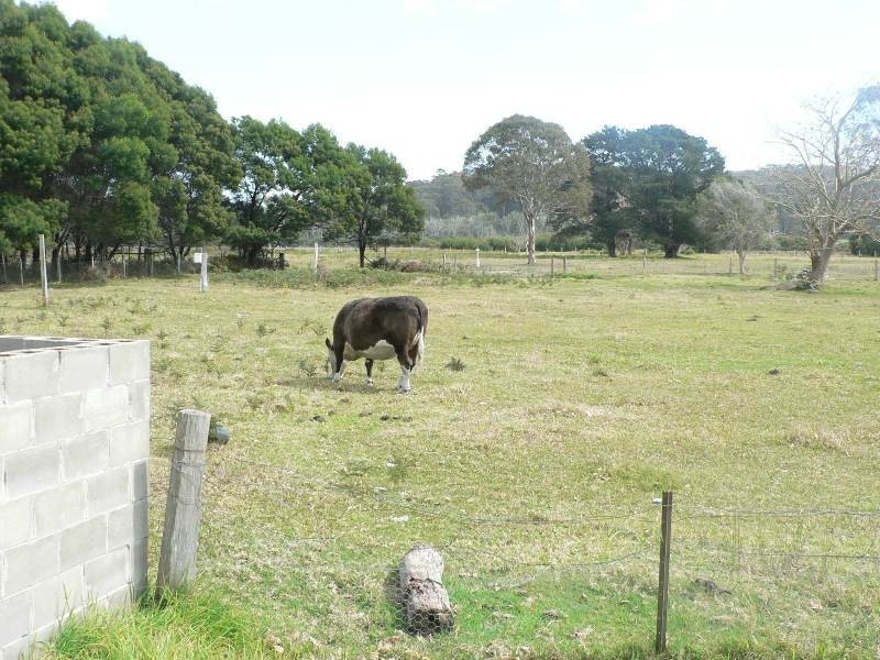 59 Racecourse Road, Bermagui NSW 2546