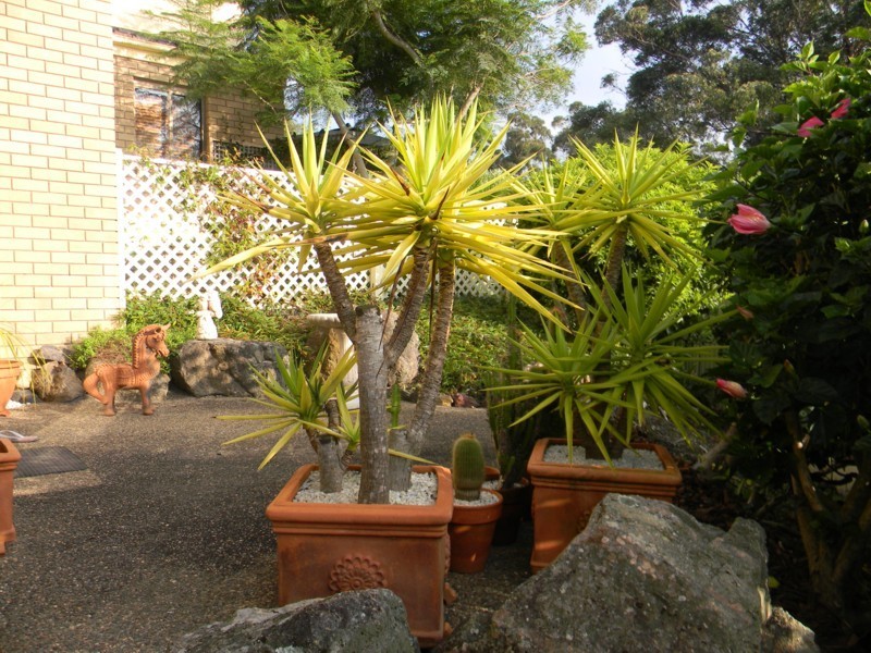 2/90-92 Tura Beach Drive, Tura Beach NSW 2548