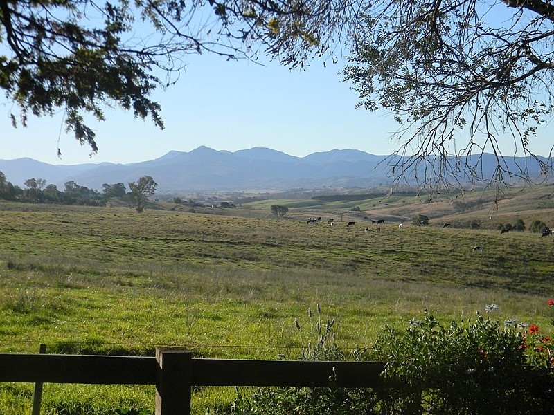 1306 Candelo-Wolumla Road, Toothdale NSW 2550