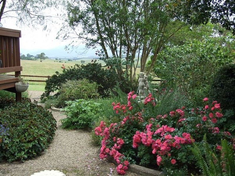 1306 Candelo-Wolumla Road, Toothdale NSW 2550