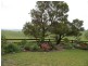 1306 Candelo-Wolumla Road, Toothdale NSW 2550