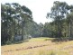 Coolagolite NSW 2550