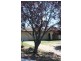 14 Sauvignon Drive, Corowa NSW 2646
