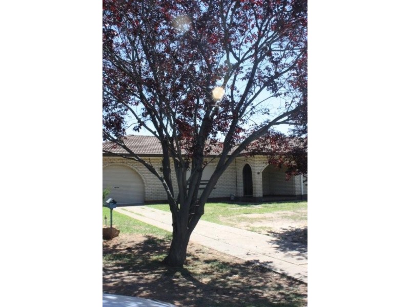 14 Sauvignon Drive, Corowa NSW 2646
