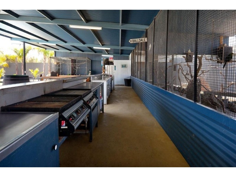 Lot 3 ‘The Reservation” Spring Drive, Corowa NSW 2646