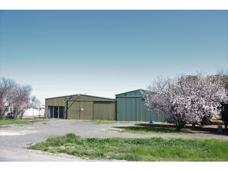 7 Poseidon Road, Corowa NSW 2646