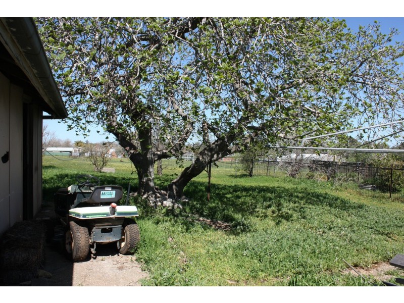 19 Dennison Street, Wahgunyah VIC 3687