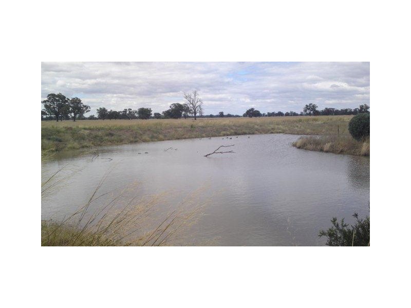 Lot 1 Whitehead Street, Corowa NSW 2646
