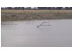 Lot 1 Whitehead Street, Corowa NSW 2646