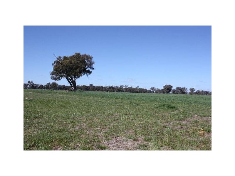 459 Three Chain Road (Federation Way), Rutherglen VIC 3685