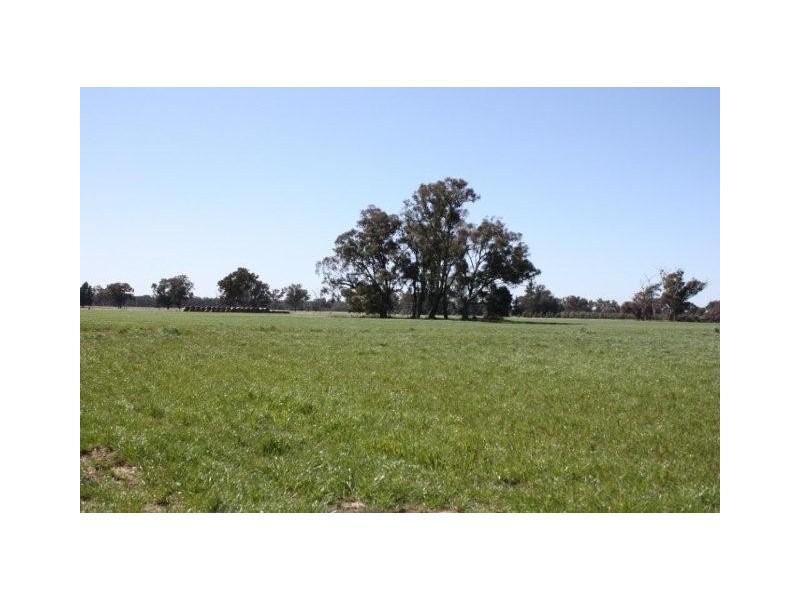 459 Three Chain Road (Federation Way), Rutherglen VIC 3685