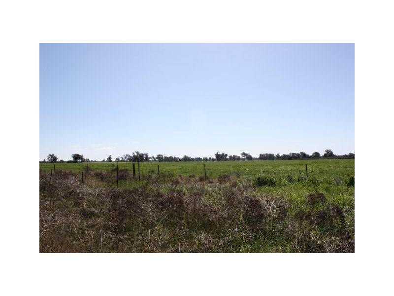 459 Three Chain Road (Federation Way), Rutherglen VIC 3685