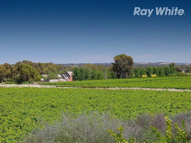 73 High Street, Rutherglen VIC 3685