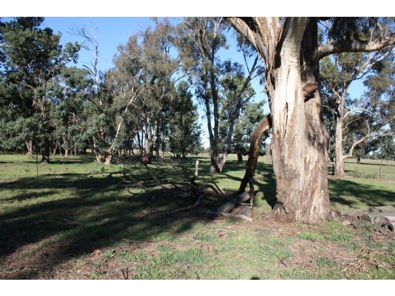 1 Lavis Road “Caernarvon”, Hopefield NSW 2646