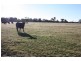 1 Lavis Road “Caernarvon”, Hopefield NSW 2646