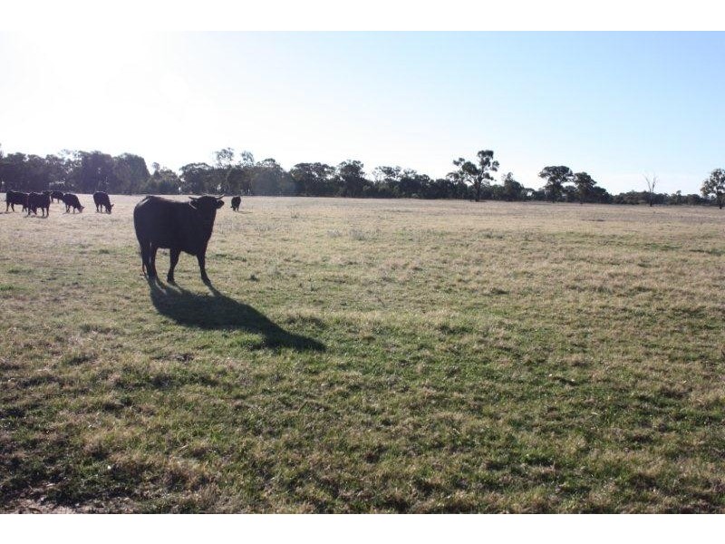 1 Lavis Road “Caernarvon”, Hopefield NSW 2646