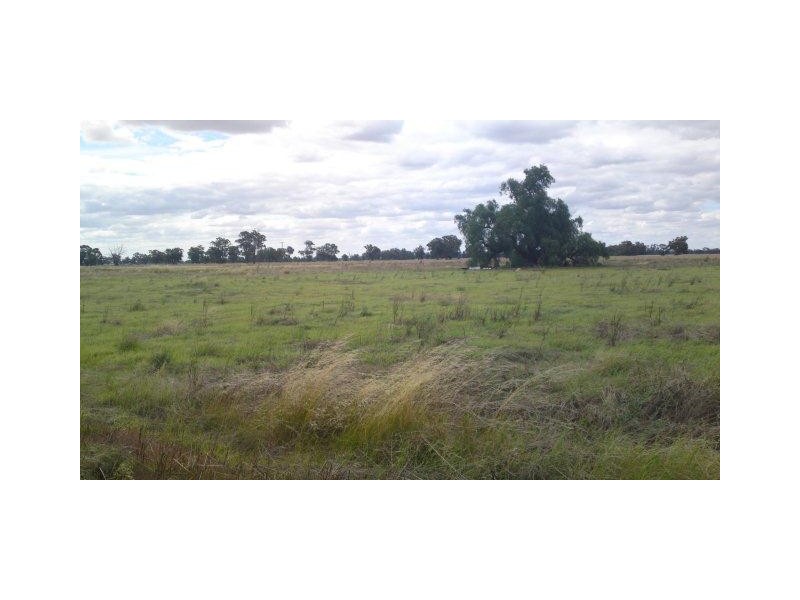 Lot 1 Whitehead Street, Corowa NSW 2646