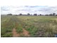 Lot 1 Whitehead Street, Corowa NSW 2646
