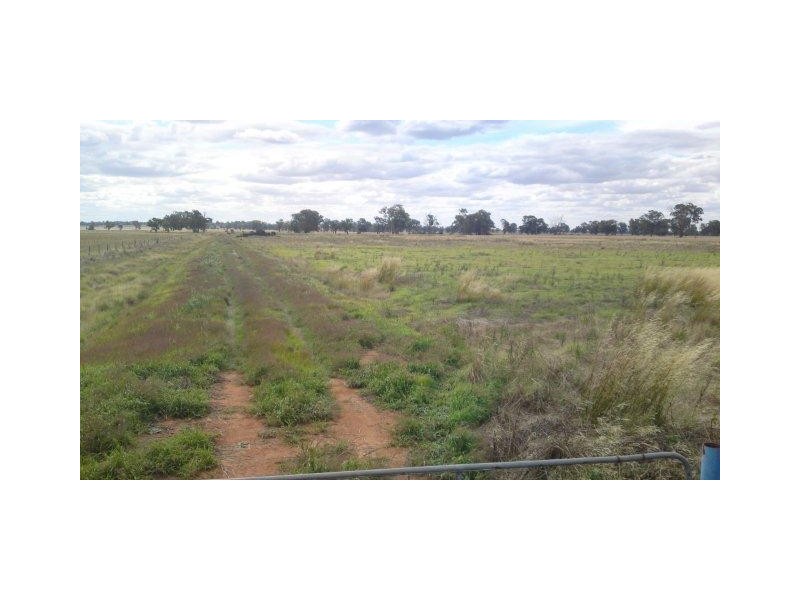 Lot 1 Whitehead Street, Corowa NSW 2646
