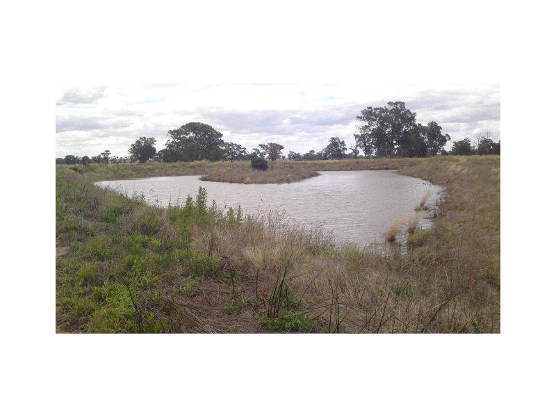 Lot 1 Whitehead Street, Corowa NSW 2646