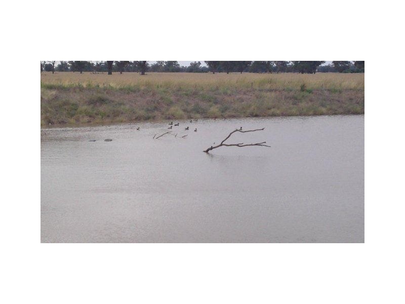 Lot 1 Whitehead Street, Corowa NSW 2646