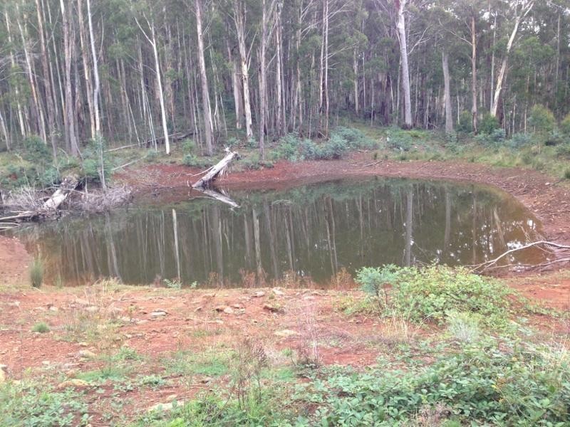 Lot 6 Bradleys Drive, Tumbarumba NSW 2653