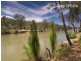 242 River Street, Corowa NSW 2646
