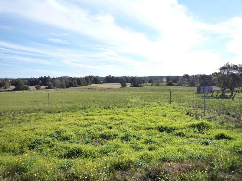 846 Buchanan Road, Buchanan NSW 2323