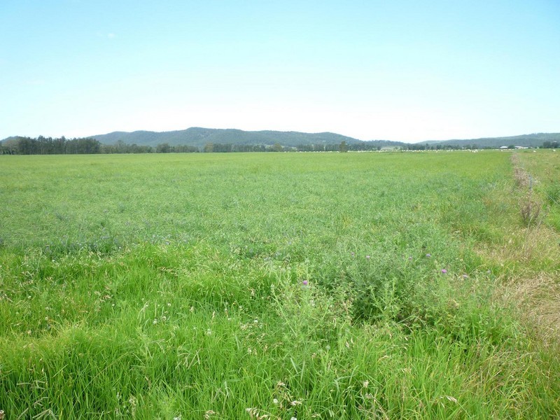 1108 Seaham Road, Seaham NSW 2324