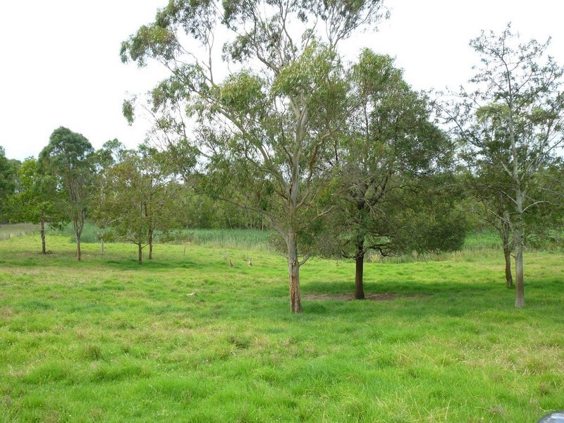 1108 Seaham Road, Seaham NSW 2324