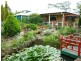 85 Old North Road, Farley NSW 2320