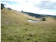 1394  Webbers Creek Road, Paterson NSW 2421