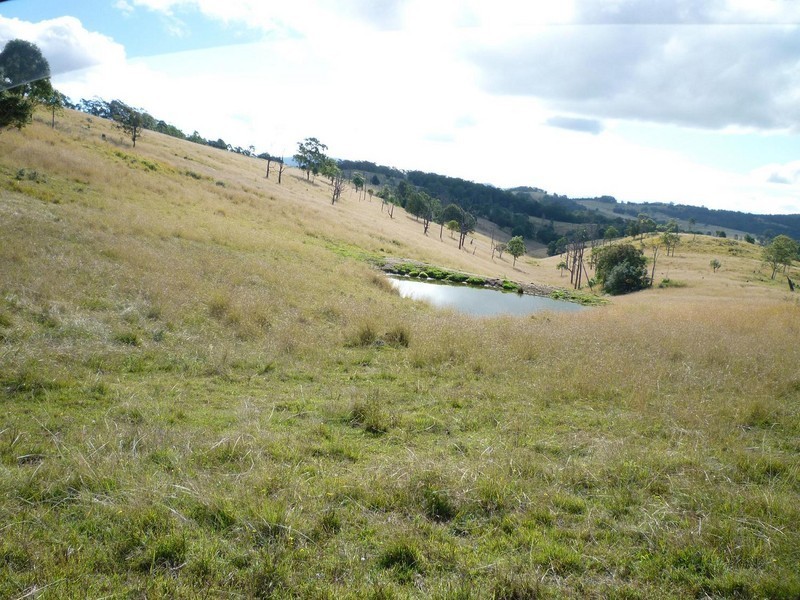 1394  Webbers Creek Road, Paterson NSW 2421