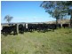 1395 Webbers Creek Road, Paterson NSW 2421