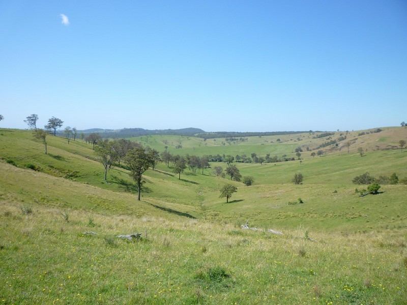 1395 Webbers Creek Road, Paterson NSW 2421