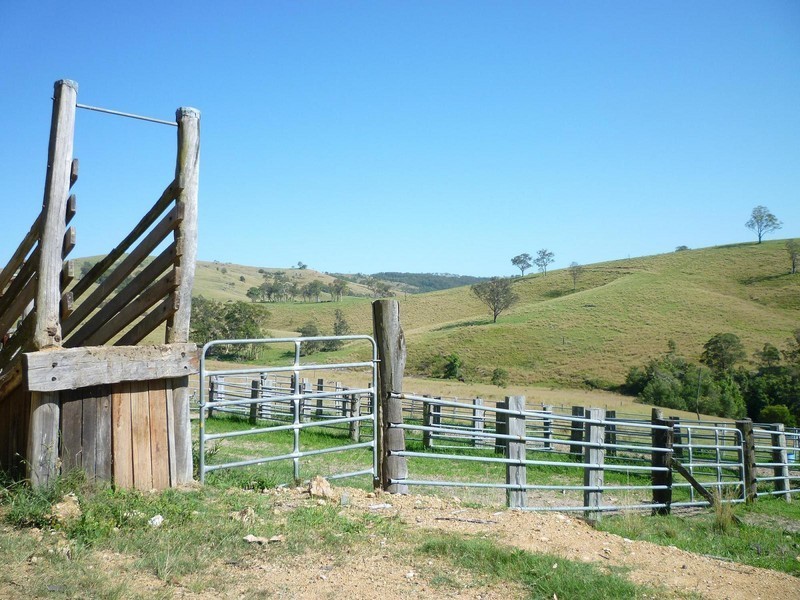 1395 Webbers Creek Road, Paterson NSW 2421