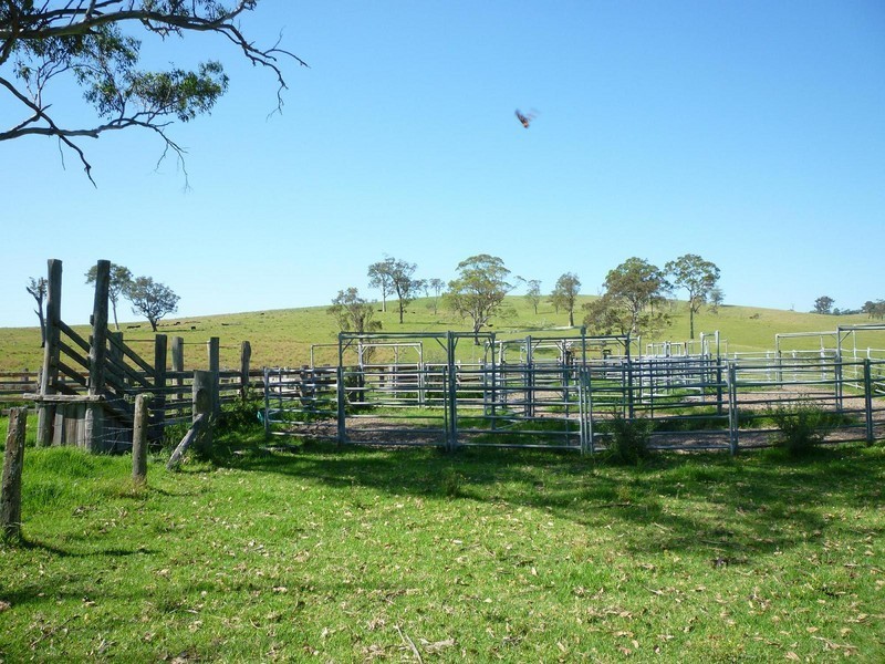 1395 Webbers Creek Road, Paterson NSW 2421