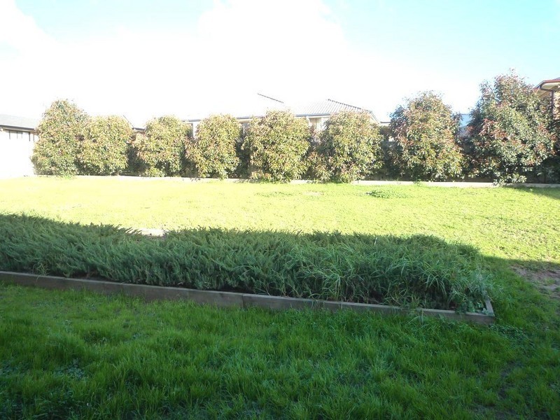 91 Avery Street, Rutherford NSW 2320