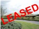 Maitland NSW 2320