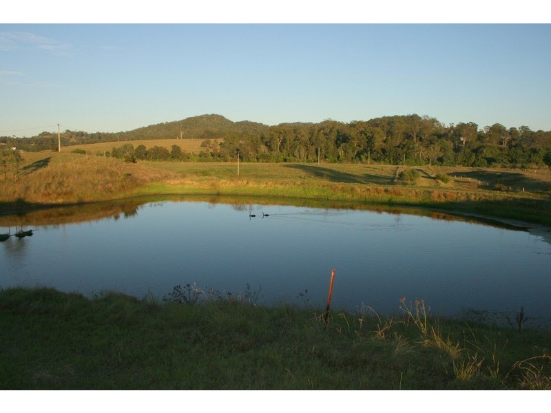 84 Valley Street, Gosforth NSW 2320