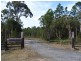 81 Warri Street, Pindimar NSW 2324