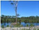 81 Warri Street, Pindimar NSW 2324