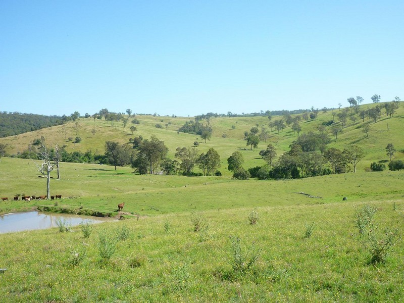 1394  Moonabung Creek, Webbers Creek Road, Paterson NSW 2421