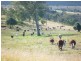 1394  Moonabung Creek, Webbers Creek Road, Paterson NSW 2421
