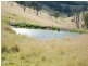 1394  Moonabung Creek, Webbers Creek Road, Paterson NSW 2421