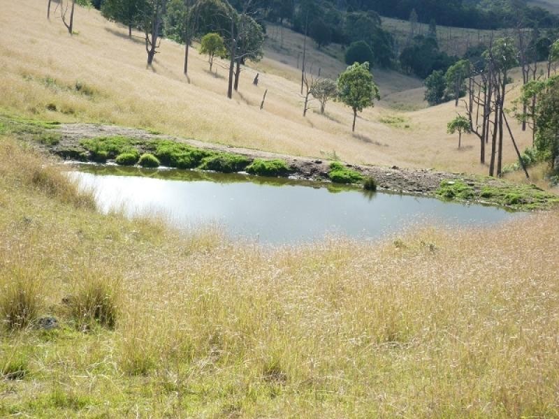 1394  Moonabung Creek, Webbers Creek Road, Paterson NSW 2421