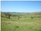 1394  Moonabung Creek, Webbers Creek Road, Paterson NSW 2421
